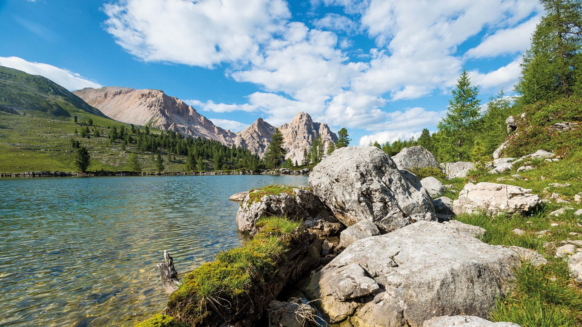 Un hotel a San Martino: posizione perfetta! Un hotel a San Martino: posizione perfetta!