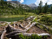 Escursioni circolari in Val Badia, biciletta, musei, ecc. Escursioni circolari in Val Badia, biciletta, musei, ecc.