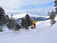 Escursioni invernali in Alta Badia: siete pronti? Escursioni invernali in Alta Badia: siete pronti?